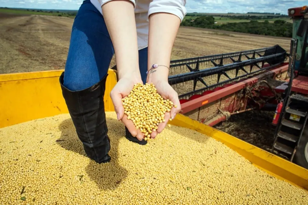 PIB de Goiás cresce 7,7% no primeiro trimestre de 2025