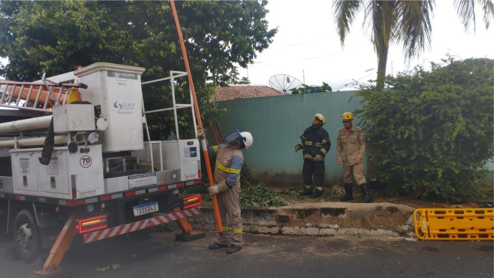 Jovem morre após sofrer descarga elétrica enquanto podava árvore em Caldas Novas