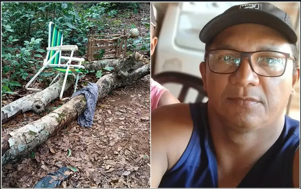 Homem morre após ser atingido por tronco de árvore, em Roselândia 