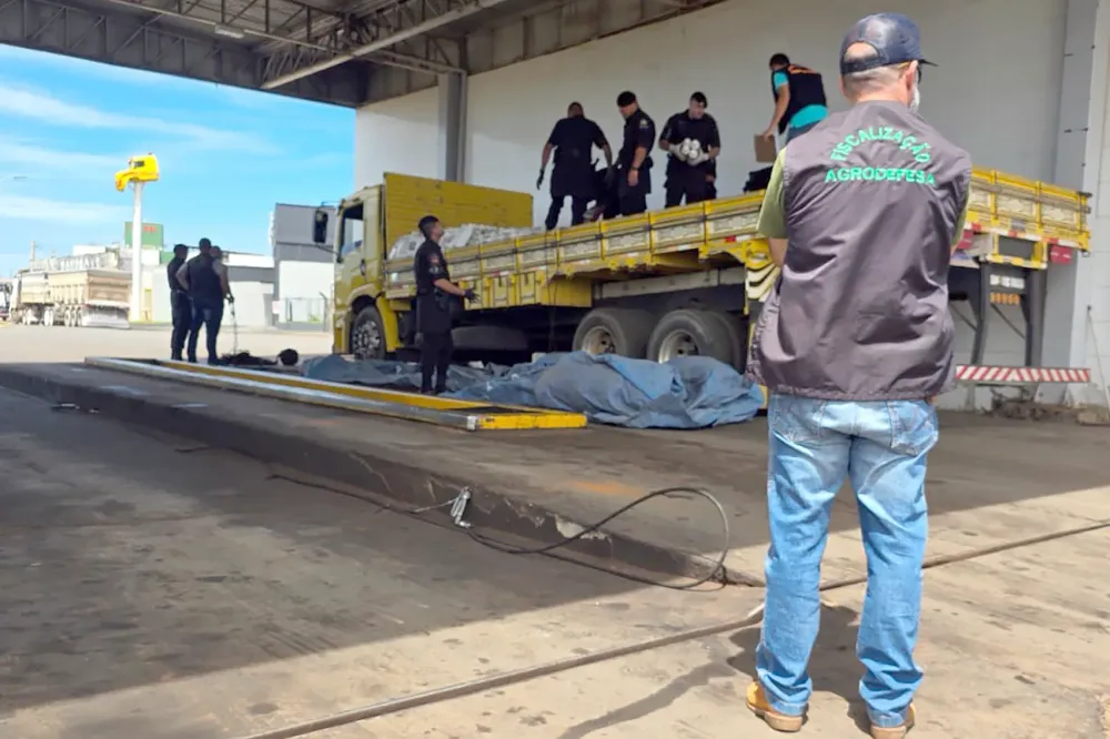 Agrodefesa e Polícia Militar apreendem mais de 1,4 mil embalagens irregulares de agrotóxicos em Catalão