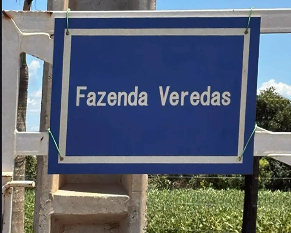 Confinamento impulsiona economia e projeta município no agronegócio de exportação