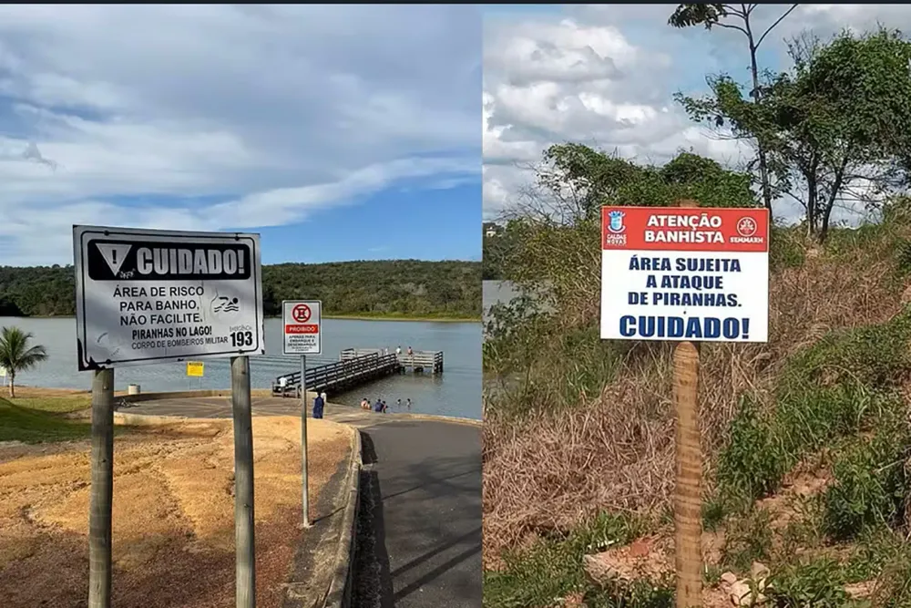 Piranhas arrancam parte dos dedos de uma menina em lago de Caldas Novas