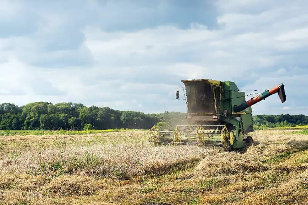 Goiás registra superávit de US$ 5,6 bilhões na balança comercial entre janeiro e agosto de 2026