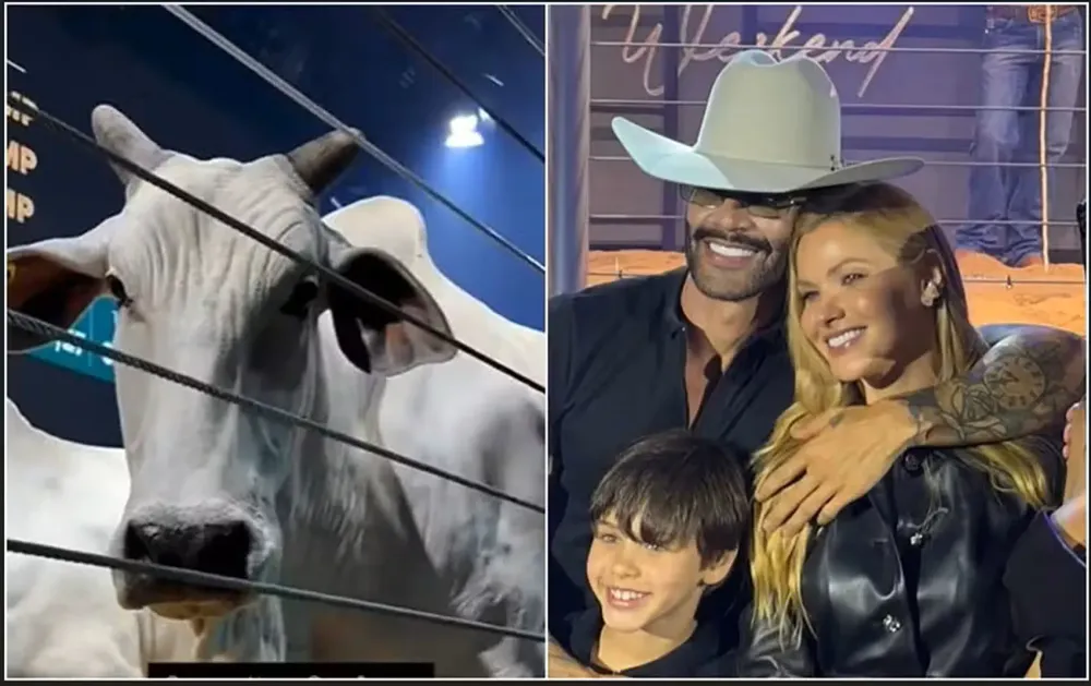 Gusttavo Lima e sócios investem quase R$12 milhões em duas vacas de elite; veja histórico do cantor