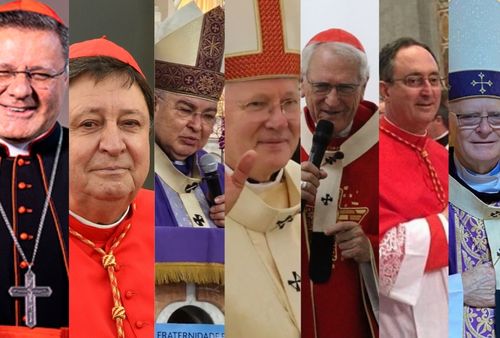 Sete cardeais brasileiros participam do Conclave que definirá o novo papa