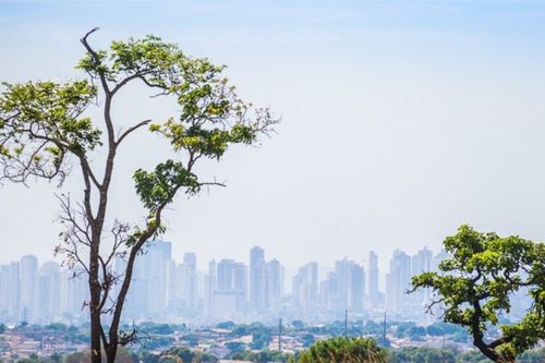 Municípios de Goiás completam 100 dias sem chuva