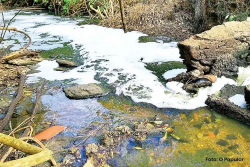 Contaminação no Ribeirão Suçuapara já era denunciada há meses: Saneago é multada e caso ganha repercussão nacional