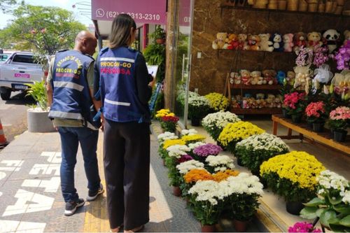 Variação em preços de flores para Dia de Finados pode chegar a quase 590%, diz Procon Goiás