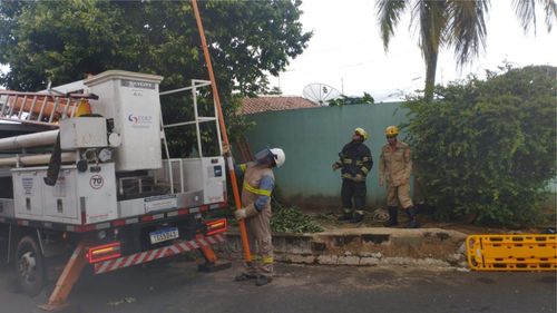 Jovem morre após sofrer descarga elétrica enquanto podava árvore em Caldas Novas