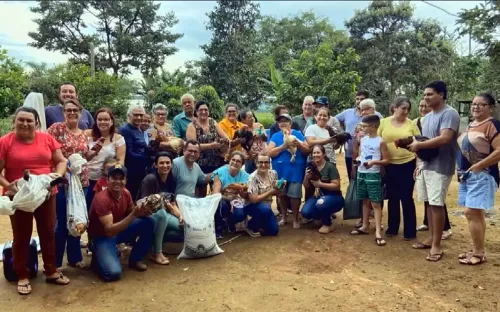 Amigos fazem 'chá de galinha' para lavradora que teve galinheiro atacado por cachorros