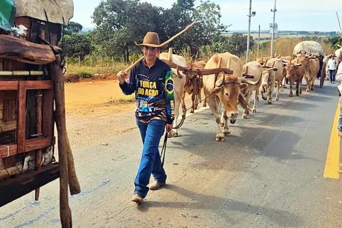 Tradição e devoção marcam passagem dos carreiros por Bela Vista de Goiás
