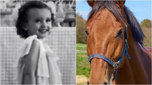 Criança de 3 anos morre após acidente com cavalo em Bela Vista