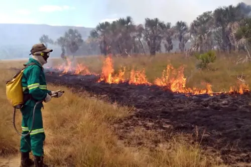 Governo de Goiás decreta emergência ambiental para reforçar prevenção a incêndios florestais