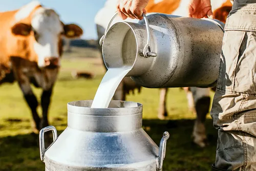 1ª Expo Leite de Hidrolândia deve movimentar R$ 1,5 milhão e reunir produtores da região