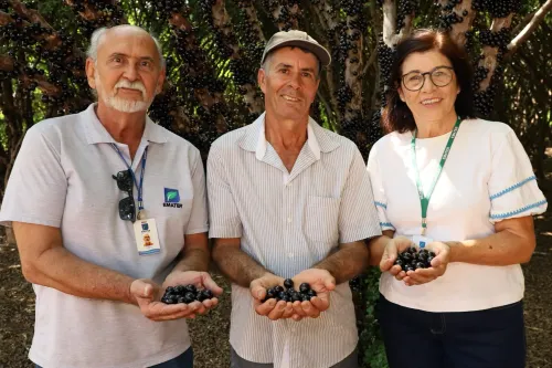 Emater Goiás realiza V Encontro Técnico sobre a cultura da jabuticabeira em Hidrolândia