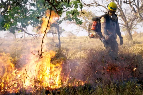 Governo de Goiás orienta população sobre prevenção a incêndios em áreas urbanas