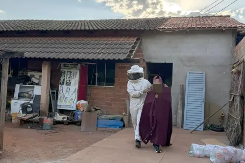 Ataque de abelhas atinge cerca de 40 pessoas na zona rural de Piracanjuba